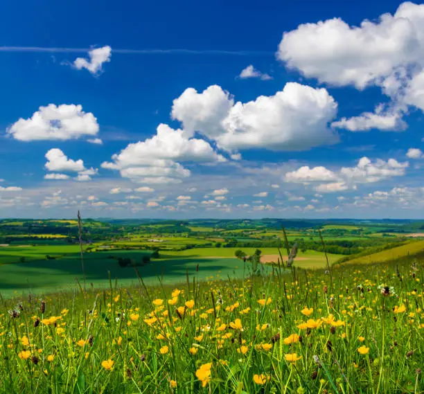 Bright sunlight warms the green crops and grassland of the Blackmore and Wardour Vales on the Dorset, Wiltshire and Somerset borders