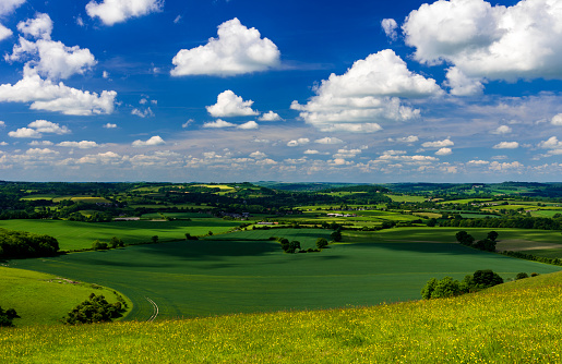 Bright sunlight warms the green crops and grassland of the Blackmore and Wardour Vales on the Dorset, Wiltshire and Somerset borders