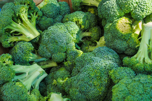 Heads of freshly picked broccoli at a Cape Cod farmer's market