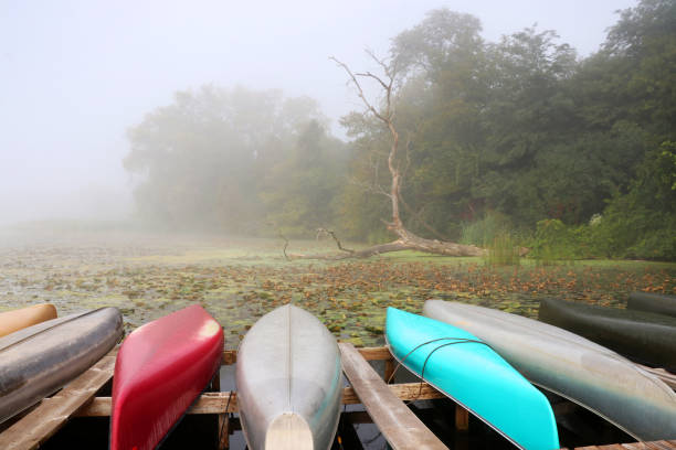 istock Morning autumn nature misty scene. 998154320
