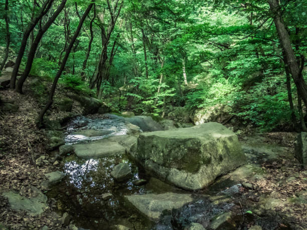 istock Valley rocks in the mountains 998159338