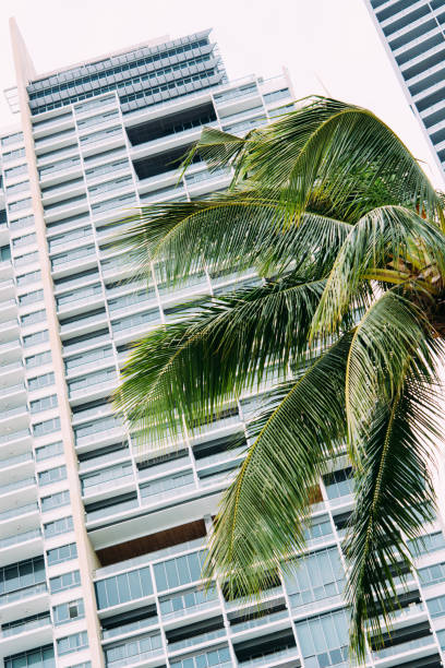 istock Residential building with modern facade on the beach 998162462