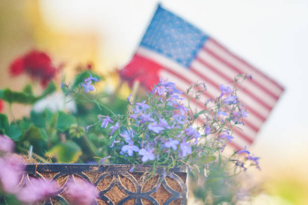 istock Nature background with American flag 998169250