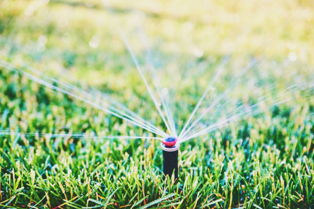 istock Irrigation. Watering lawn in summer from sprinkler system 998174236