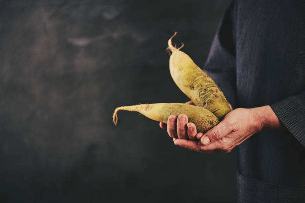 Female hands holding fresh farm produce, dikon radish