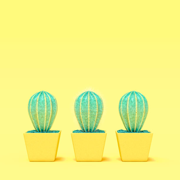 istock Cactus have thorn among cactus no thorn pastel color 998200652