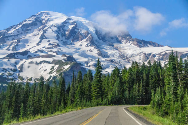 The Road to Paradise