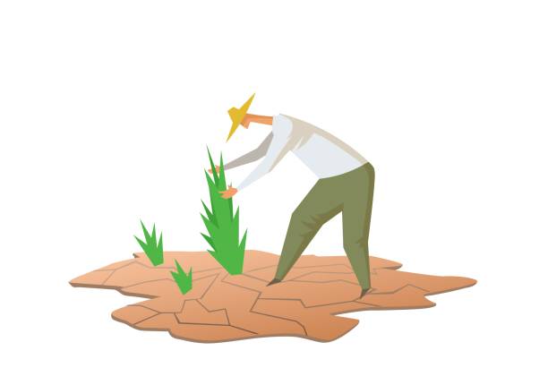 засуха и сельское хозяйство. фермер, выращивая растения на сухой почве. иллюстрация плоского вектора. изолированные на белом фоне - desert dry land drought stock illustrations