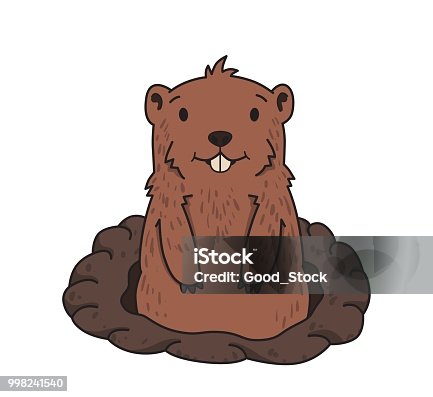 istock Cute groundhog looking out from the burrow on white background. Groundhog day. Line vector illustration. Colored cartoon style, isolated. 998241540