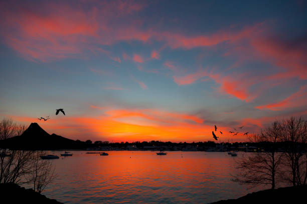 Sunset water landscape