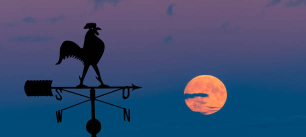 istock Weather vane and full moon 998259972