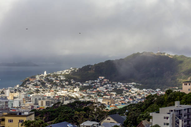 istock Wellington, New Zealand 998260634
