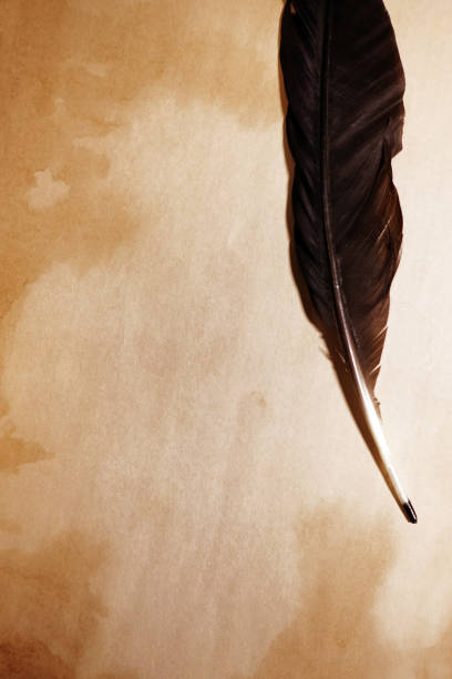 istock old paper on brown wood texture and feather 998279380