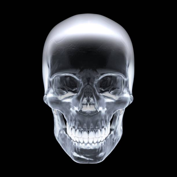 istock Crystal skull on dark background - Stock image 998285514
