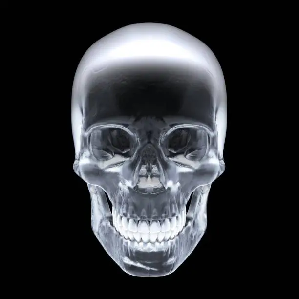 Crystal skull on dark background - Front view.