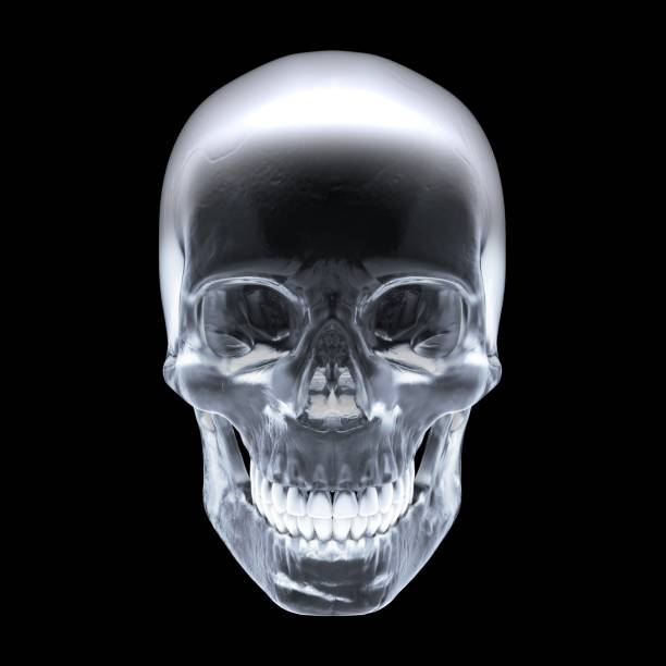 crystal skull on dark background - stock image - crânio humano imagens e fotografias de stock