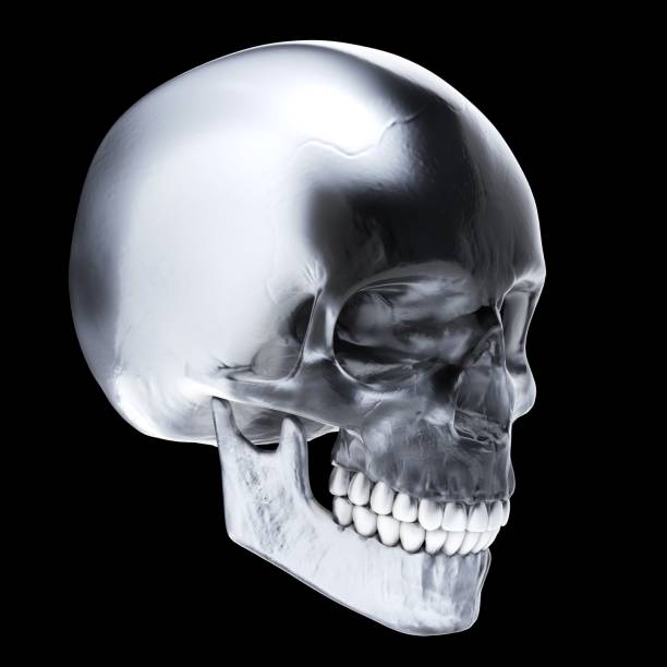 istock Crystal skull on dark background - Stock image 998285528