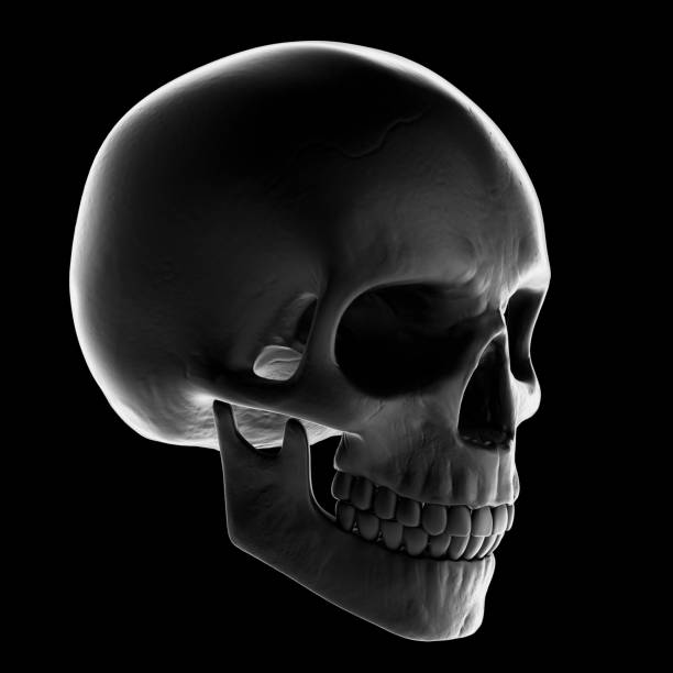 istock Black matte skull on dark background - Stock image 998285546