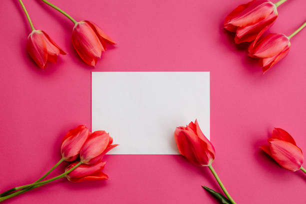 istock Tulips and a white sheet of paper. 998294262