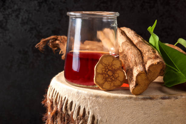 Ayahuasca brew on drum. Ayahuasca brew with baniseriopsis caapi mimosa hostilis rootbark and chackruna leaves on shamanic drum. banisteriopsis caapi stock pictures, royalty-free photos & images