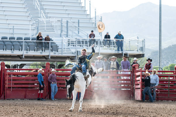 cowboy cheval bucking bronco dans stade de rodéo - 2546 photos et images de collection