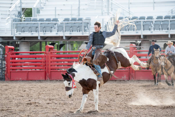 cowboy rodeo reiten bucking bronco im westen der usa - rodeo cowboy motion horse stock-fotos und bilder