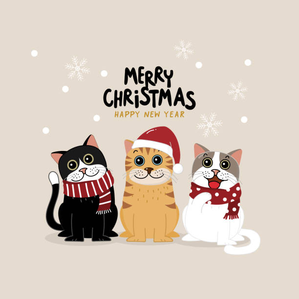 frohe weihnachten grusskarte mit niedlichen katze winter outfits zu tragen. frohe weihnachten cartoon charakter vektor. - katzenjunges stock-grafiken, -clipart, -cartoons und -symbole