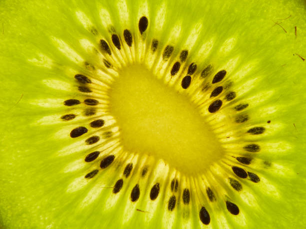 istock Fresh, beautiful kiwi sliced 998313116