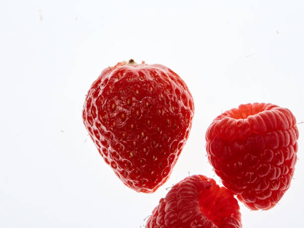 istock Fresh, beautiful, large raspberries blueberries, strawberries, blackberries 998313468