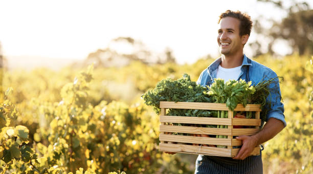 istock The bounty of my efforts 998322500
