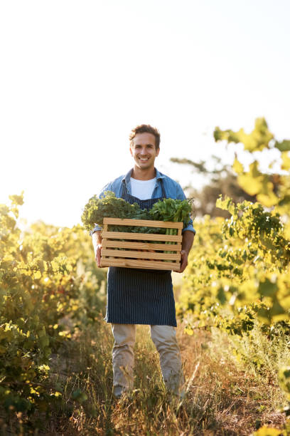 istock Farming gives you the opportunity to give back 998322512
