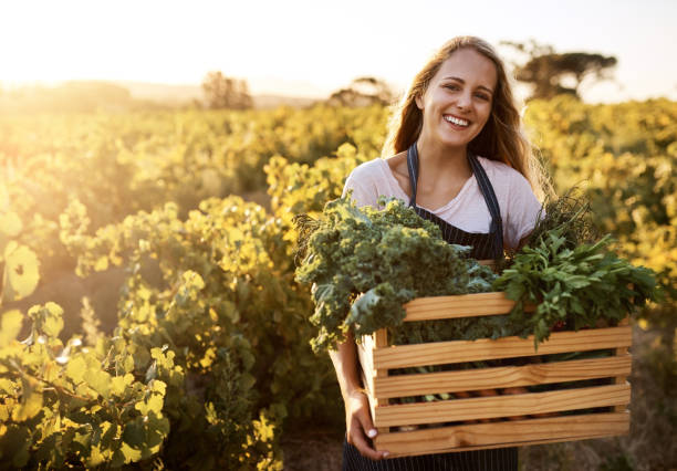 istock Grow your food organically 998322552