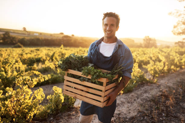 istock I provide the freshest, most delicious vegetables possible 998322578