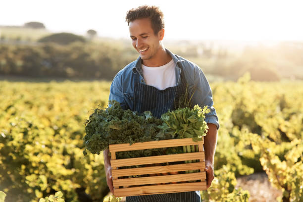 istock There's nothing better tasting than fresh produce 998324782