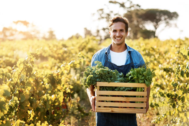 istock Producing food that is safe, abundant and affordable for consumers 998324806