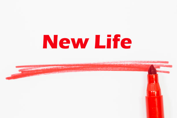 new life word written with marker
