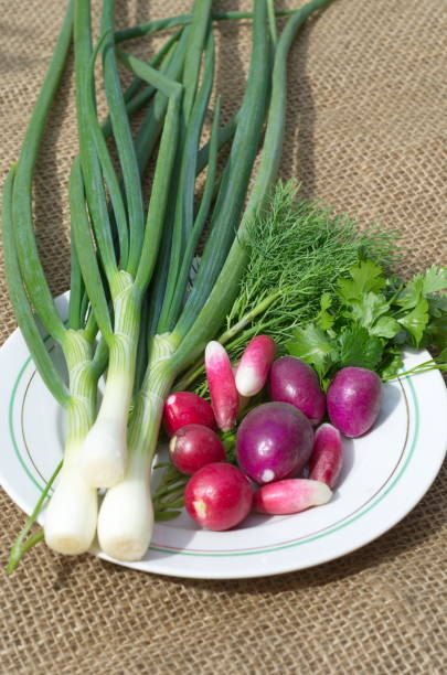 istock Fresh greens and radishes on a plate 998336948