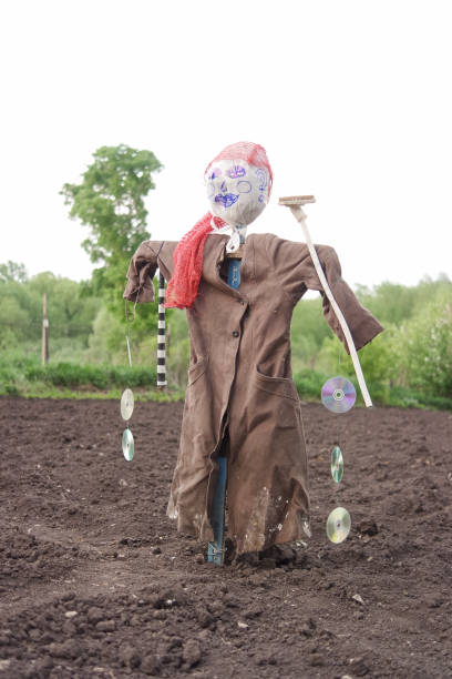 istock Scarecrow in the garden 998339352