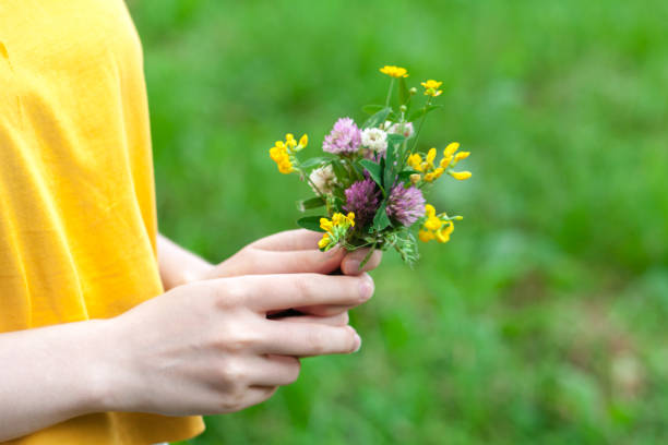 istock Wild flowers in female hands 998372536