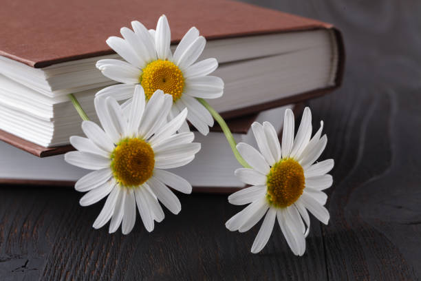 istock Stack of books with small bunch of daisies 998373878