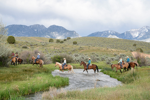 Group of people on trail ride on horseback, crossing water in valley with mountain range in background