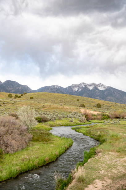 istock American mountain scene with stream and valley 998374026