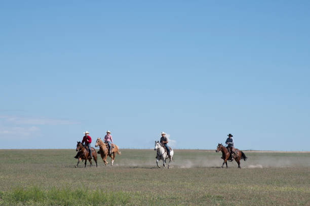 istock Cowboys on horses running across field 998378800