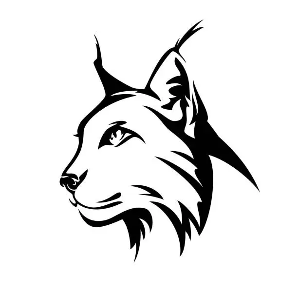 Vector illustration of wild lynx cat head vector design
