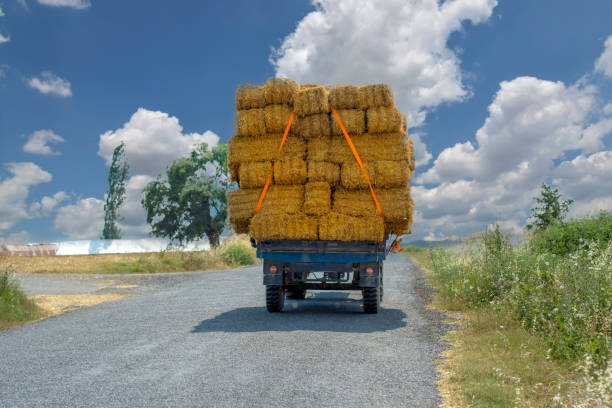 istock Fully loaded, tractor with trailer transports straw bales. 998380570