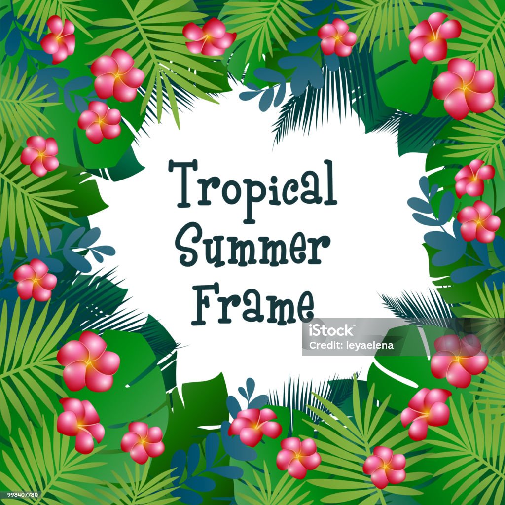 Tropical Rectangular Frame Vector Frame With Tropical Plants Stock Illustration - Download Image ...