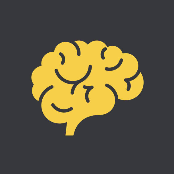뇌 아이콘크기 - brain stock illustrations
