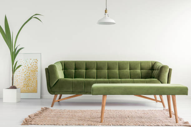 oliwkowa zieleń, stylowa settee i tapicerowana ławka w jasnym wnętrzu salonu z białymi ścianami i rośliną. prawdziwe zdjęcie. - olive green residential structure house decor zdjęcia i obrazy z banku zdjęć