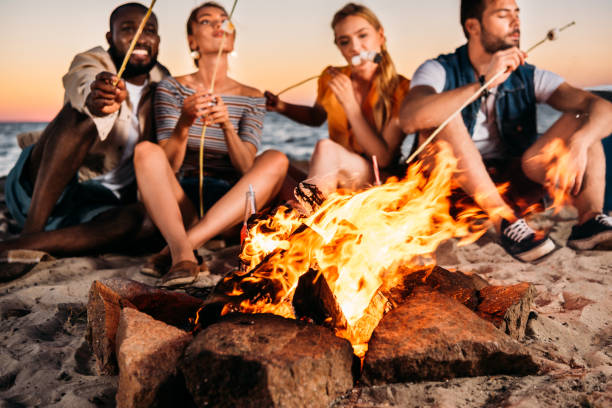 istock young friends roasting marshmallows at bonfire while sitting at sandy beach at sunset 998422798