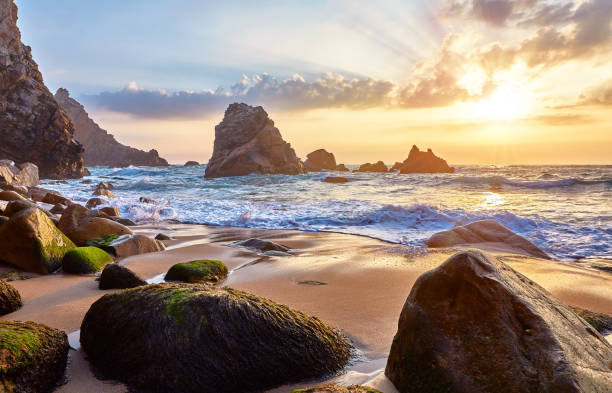 istock Sand beach among rocks on evening sunset 998425338